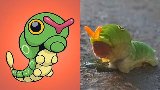 Birbirinden Garip Yeteneklere Sahip Olup Gerçek Hayattan Esinlenilen 14 Pokemon