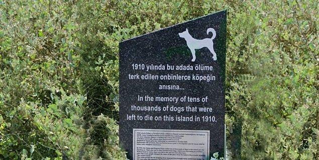 18. Resmi kayıtlarda hala Sivri Ada diye geçse de, orası bizim dilimizde hala Hayırsız Ada’dır. 80 bin köpek kardeşimizin mezarıdır.