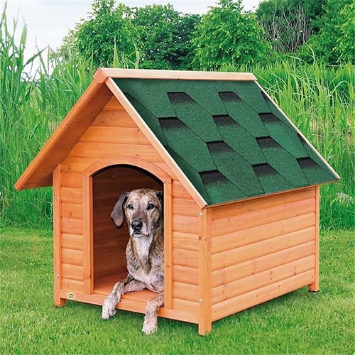 İtaatkar Uysal ve Söyleneni Eksiksiz Yerine Getiren Bir Köpek 15