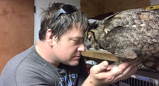 Сова обнимает мужчину, спасшего ее жизнь