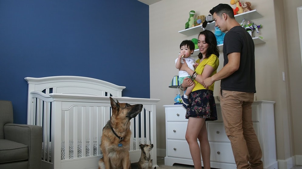 1 год из жизни малыша за 80 секунд