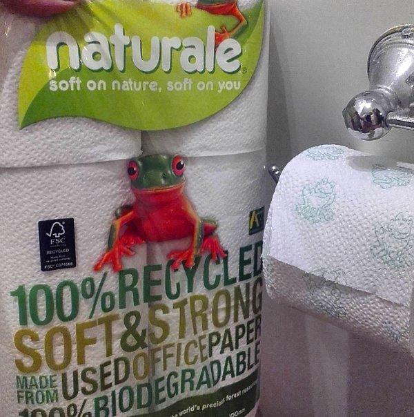 10. Geri dönüşüm malzemeden yapılan tuvalet kağıdı kullanabiliriz.