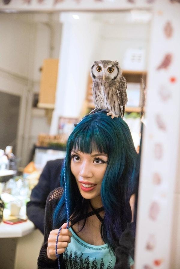 1. Tokyo'da Fukuro no Mise Baykuş Cafe'de baykuşlarla oturup takılabiliyorsunuz.