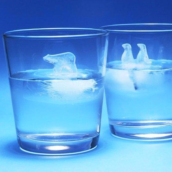 7. Bu küçük sevimli kutup hayvanlı buzlar bardağınızdaki içeceği soğutacak!