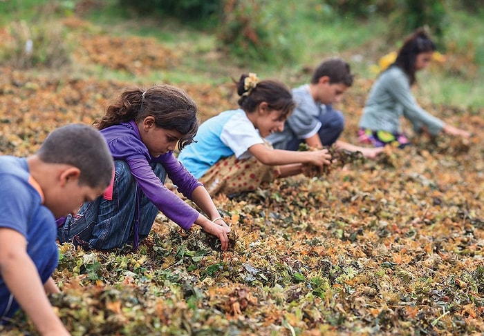 '1 Milyon Çocuk İşçi Görmezden Geliniyor'