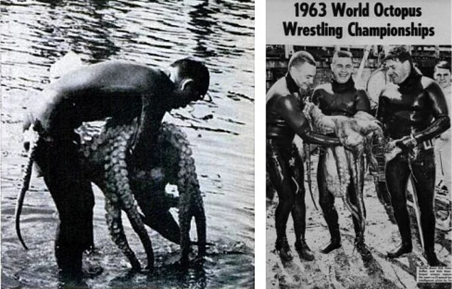 Octopus wrestling became a popular sport in the 1960s.
