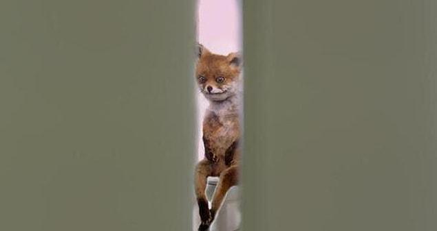 9. That moment when we see people walking around the ladies’ room from that little gap.