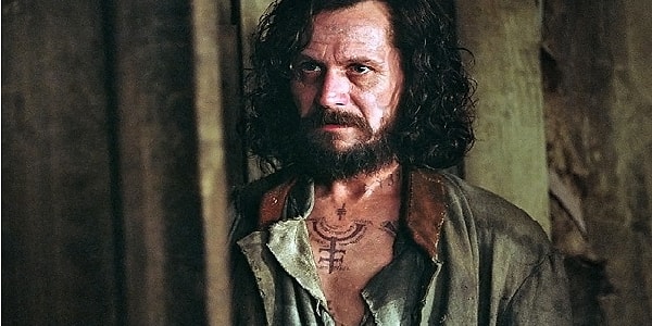 23. Тату Сириуса Блэка из фильма "Гарри Поттер и узник Азкабана".