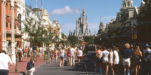 Walt Disney çalışanları ve yakınları bütün parklara ücretsiz girebiliyor, ayrıca otellerde ve WD ürünlerinde indirimleri var.