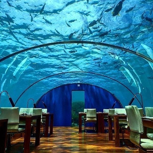 11. Ithaa Yeraltı Restoranı | Rangali Adası, Maldivler.