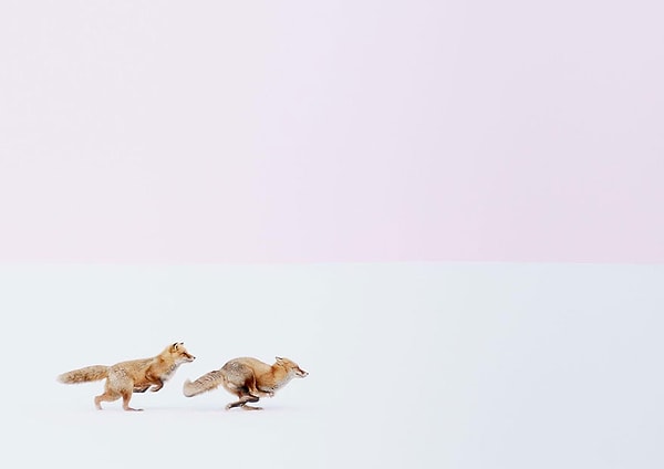 3. Я пойду за тобой, куда бы ты ни пошёл, Япония