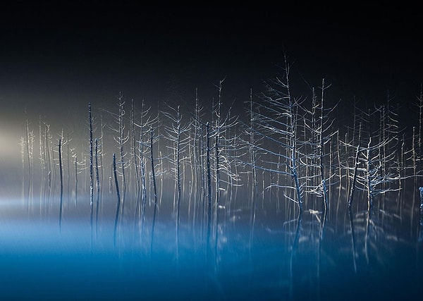 13. Танцовщик, Япония