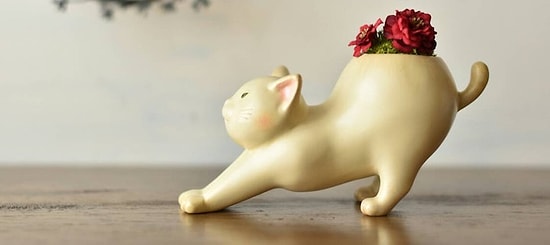 Крошечные улыбчивые горшочки для цветов, перед которыми невозможно устоять