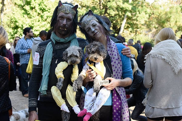 11. Все вместе ходите на вечеринки и принимаете участие в карнавалах.