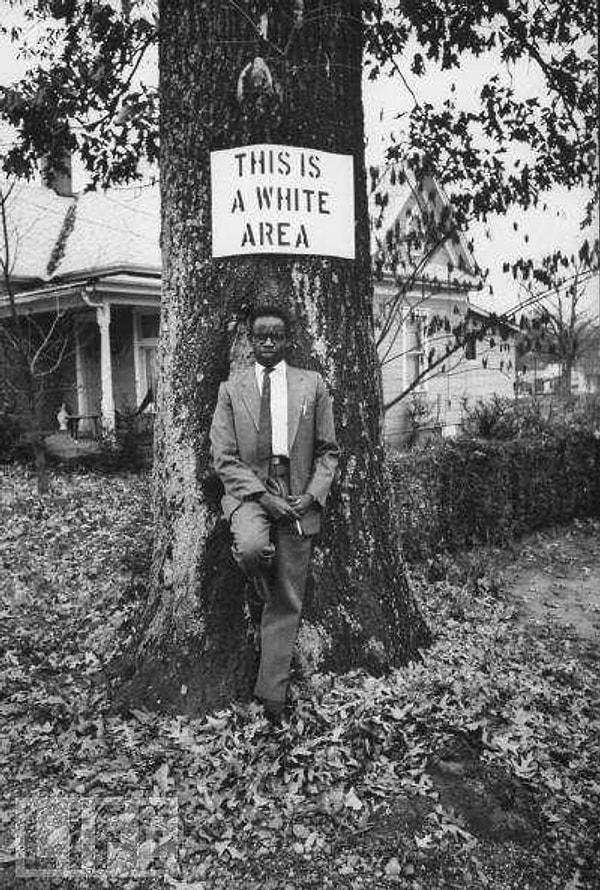 4. Beyazlar için ayrılmış ağaç altında poz veren Amerikalı bir siyahi. (1950)