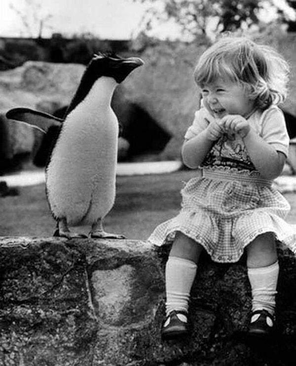 16. İlk kez penguen gören küçük kızın tepkisi.
