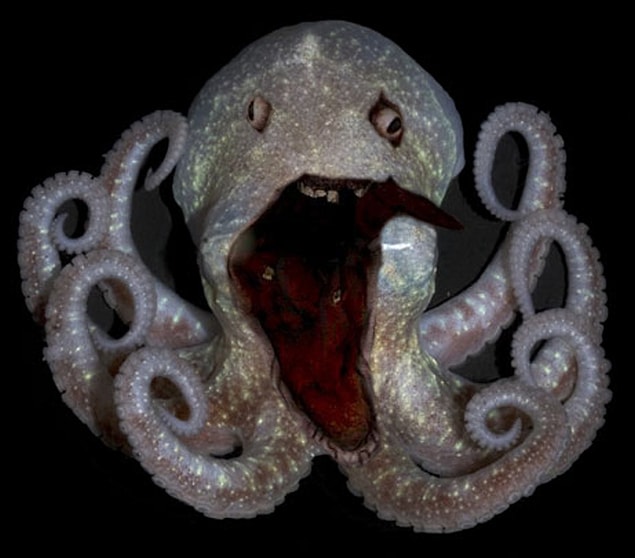 12. A baby Cthulhu