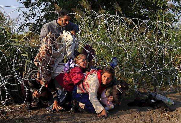 13. Özellikle Macaristan sınırında günler süren olaylar oldu. Hükümet, göçmenleri engellemek için sınıra dikenli tel çekti.