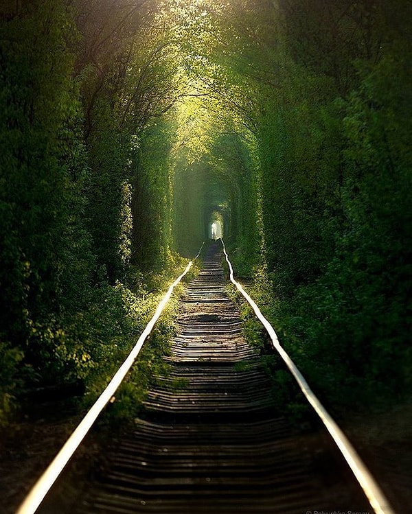 11. Туннель любви в Клевани, Украина