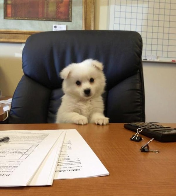 4. "Ну, что ж, давайте начнем совещание"