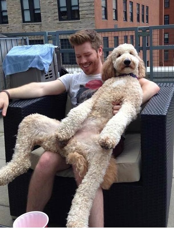 6. "Простите, здесь уже занято"