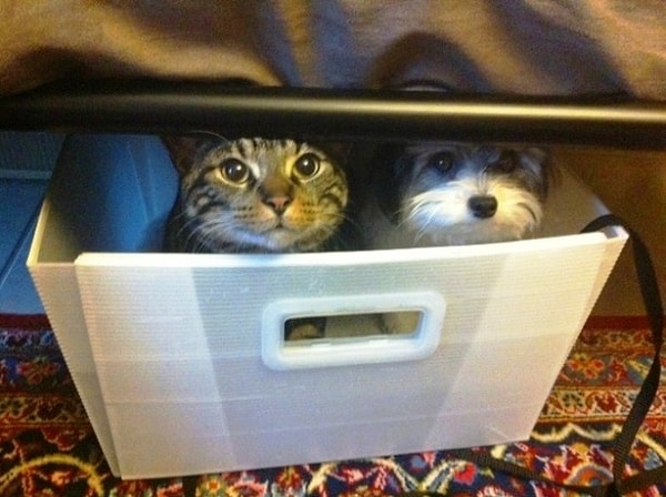 11. "Привет, а мы тут тебя ждем"