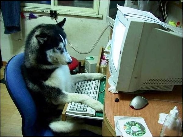 18. "Ты серьезно? Как вообще можно работать на этом ведре?"