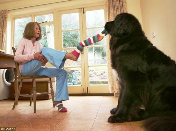 22. "Что застряла? Опять?"