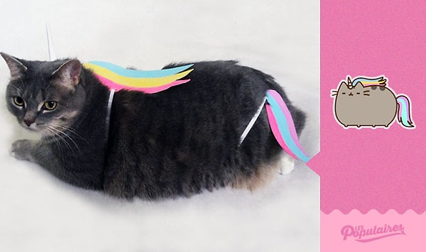 3. Кошка в образе единорога.