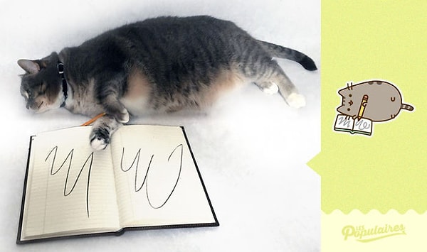 9. Кошка с записной книжкой.