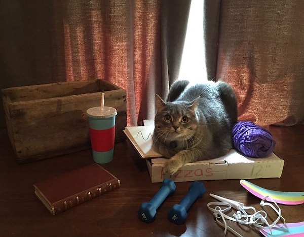 А это сцена за кадром. Привет!