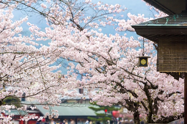 Japon bahçelerine doya doya bakacağınız Kyoto