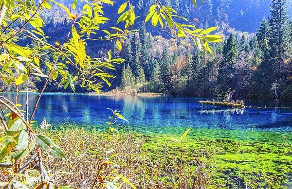 11. Gözlerinizi kamaştıracak bir doğa harikası Jiuzhaigou Vadisi Milli Parkı