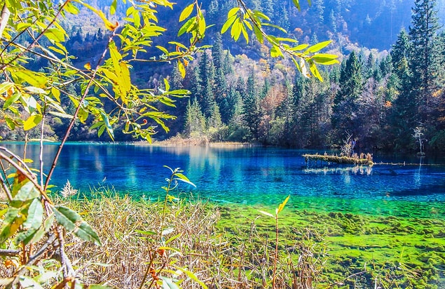 11. Gözlerinizi kamaştıracak bir doğa harikası Jiuzhaigou Vadisi Milli Parkı