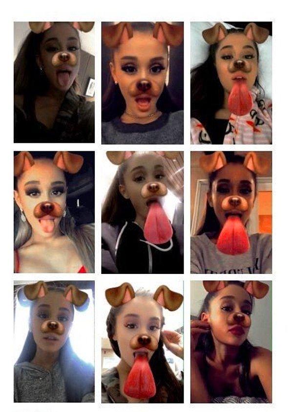 Herkes yüzünü köpeğe dönüştüren bu Snapchat filtresinin bağımlısı oldu.