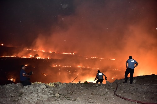 Bodrum'daki Yangında 250 Hektarlık Alan Kül Oldu