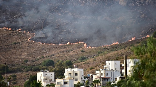 Bodrum'daki Yangında 250 Hektarlık Alan Kül Oldu