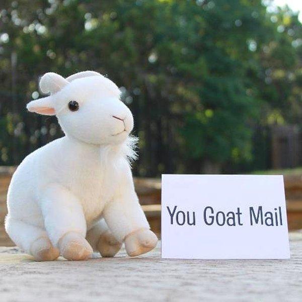 Twitter hesabına bakılacak olursa 'You Goat Mail' isimli şirket Mayıs 2016'da kurulmuş. Ticari girişimleri ise tam anlamıyla 'efsane'!!!