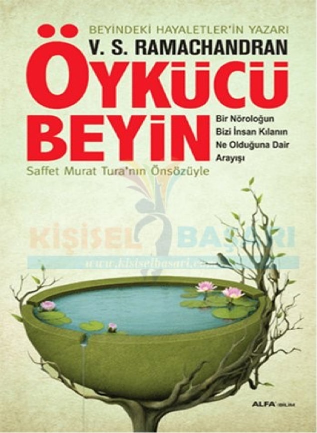 7. Öykücü Beyin