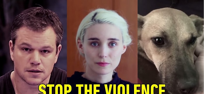 Matt Damon, Rooney Mara ve Daha Nicesinden Çin'deki Köpek Yeme Festivalini Durdurun Çağrısı