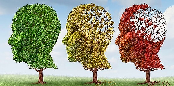 5. Какие науки послужили фундаментом для психологии?