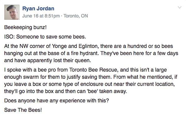 "Arı meraklısı Bunz kullanıcıları!" Konu: Arıları kurtarmak isteyen birilerini bulmak.