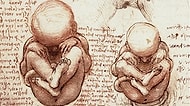 Leonardo da Vinci'nin Zamanının Çok Ötesinde Bir İnsan Olduğunun Kanıtı Çizimler