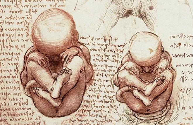 Leonardo da Vinci'nin Zamanının Çok Ötesinde Bir İnsan Olduğunun Kanıtı Çizimler