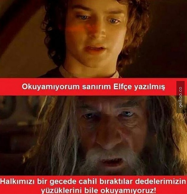7.
