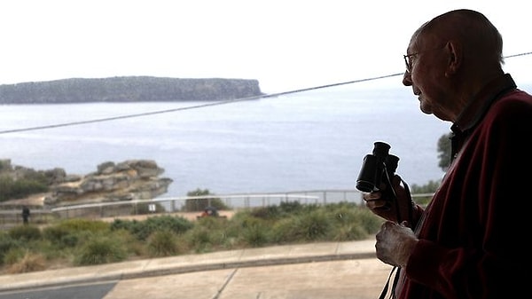 6. Дон Ритчи живет довольно рядом с той самой скалой, поэтому предстоящим самоубийцам приходится проходить мимо его дома.