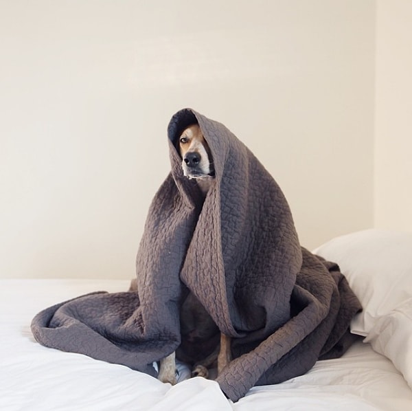 3. Еще лучше залезть под одеяло, чтобы ни с кем не поругаться.