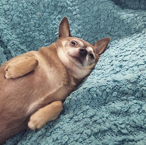 13. Доброе утро перестает быть добрым.