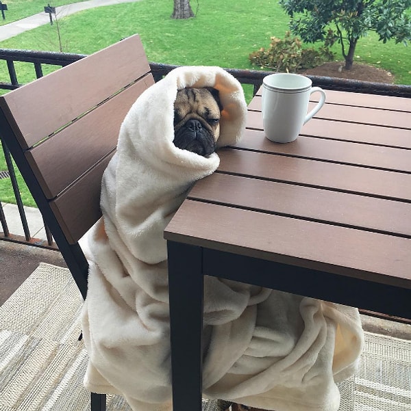 15. И никакой кофе не спасает 😞😞