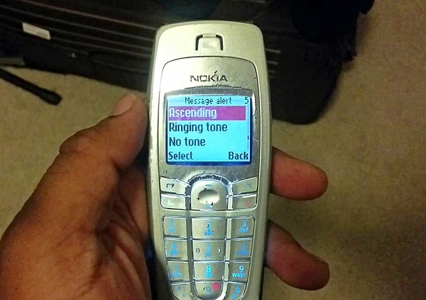 11. Nokia 6010